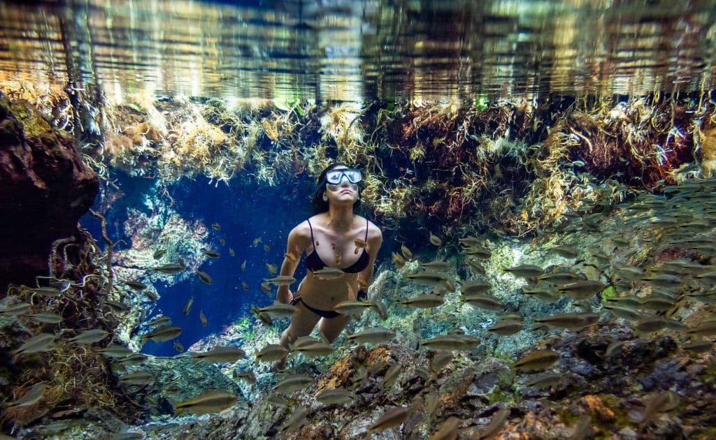 mulher em mergulho livre em nascente de água cristalina