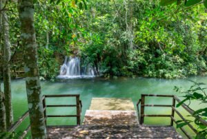 Precisa saber nadar para visitar a Fazenda Ceita Corê