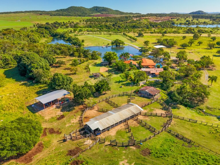 Na Fazenda Ceita Corê tem guia acompanhando?