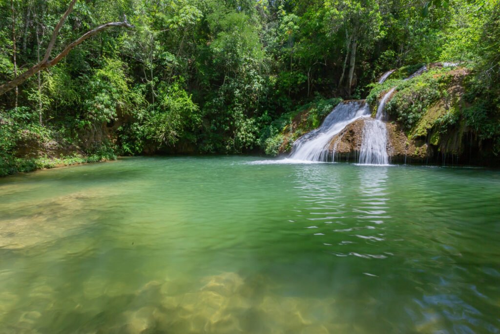 Cachoeira na propriedade.