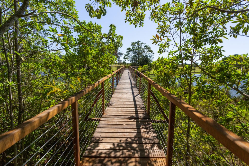 Trecho de trilha na propriedade Ceita Corê.