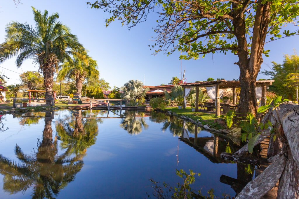 Área de descanso na Fazenda com água e plantações nativas ao redor do lago.
