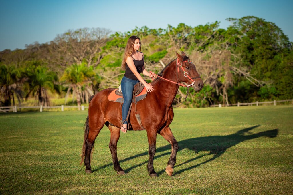 Passeio a cavalo na propriedade.