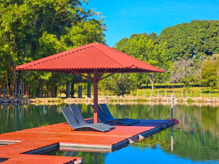 cadeiras de descanso com cobertura em meio a um lago de fazenda