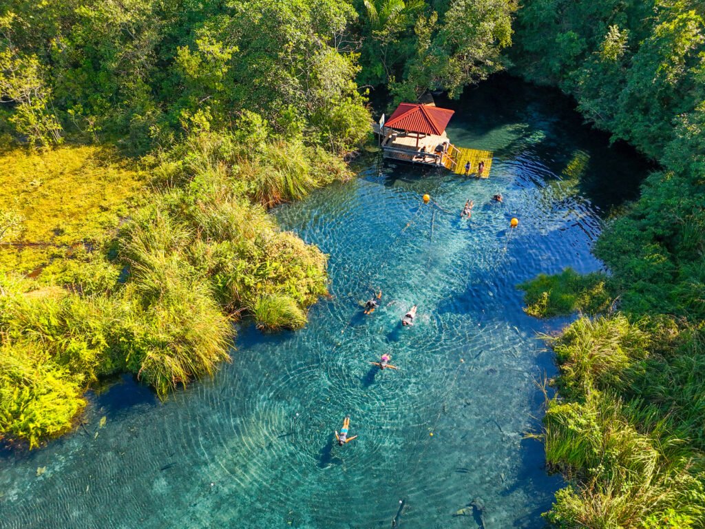 Pessoas nadando na nascente da Fazenda.