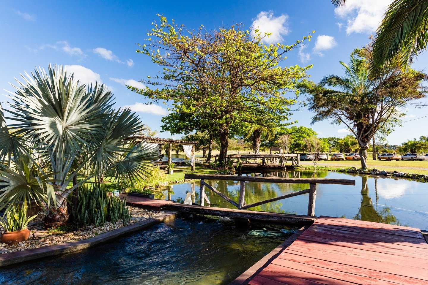 fazenda_ceita_core12