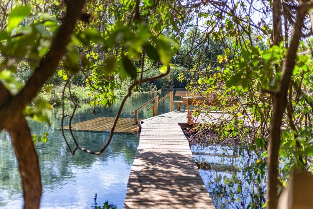 Qual é o melhor roteiro de 3 dias em Bonito? 1 Trilha em meio à natureza na Fazenda Ceita Corê.