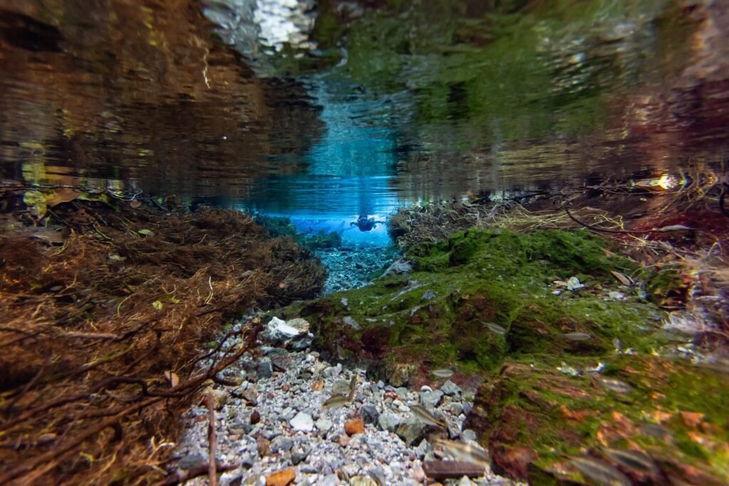 Onde tem água cristalina em Bonito? 2 nascente do rio Chapena