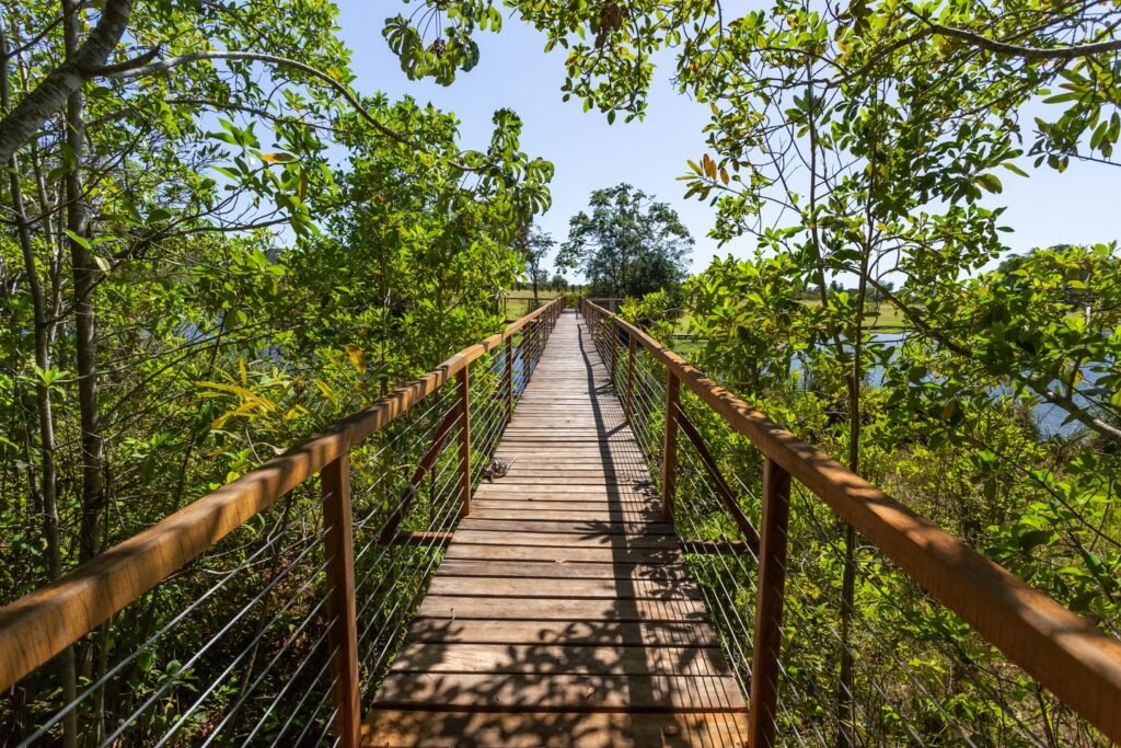 Fazenda Ceita Corê ou Boca da Onça: qual escolher? 6 Trilha em meio à natureza na Fazenda Ceita Corê.