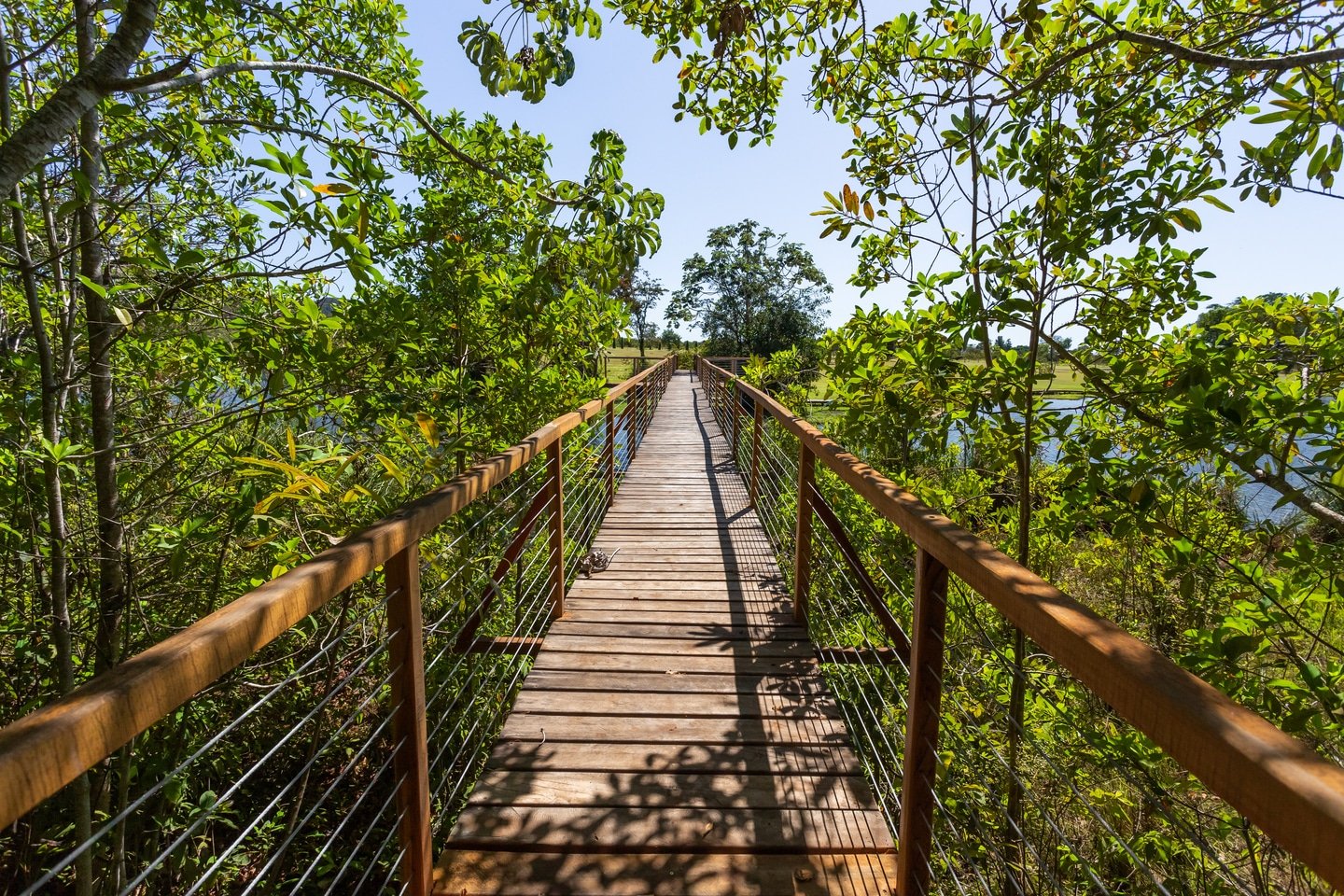 Trilha em meio à natureza na Fazenda Ceita Corê.