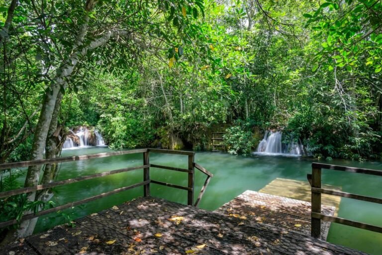 Passeio de dia inteiro ou meio período: qual vale mais a pena
