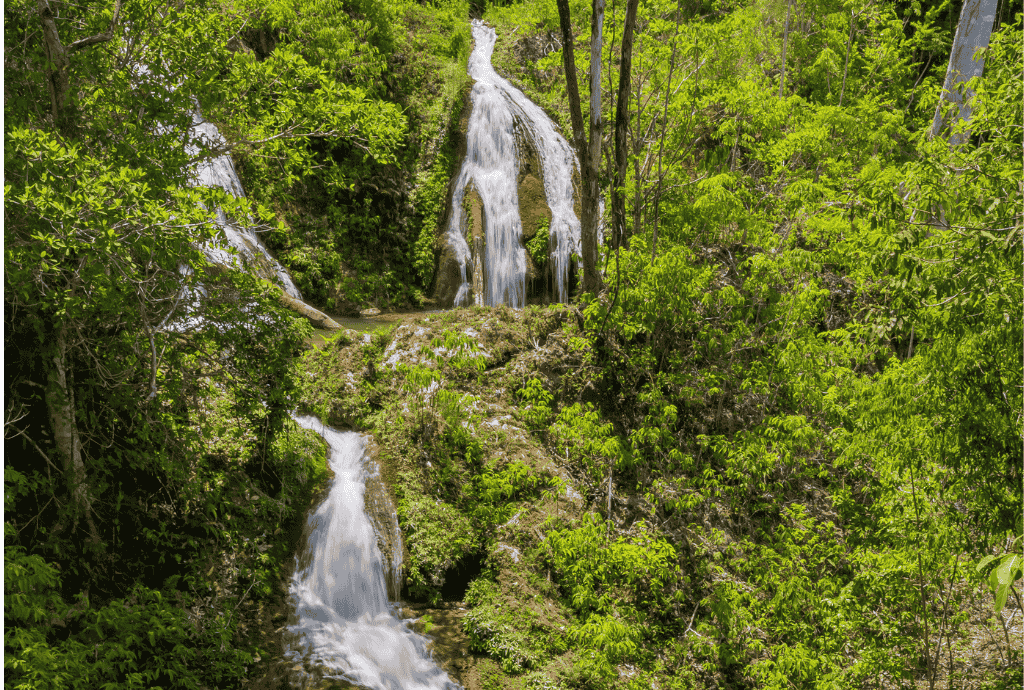 Como são as trilhas da Fazenda Ceita Corê? 6 opções imperdíveis 4 Cachoeiras em meio à vegetação exuberante.