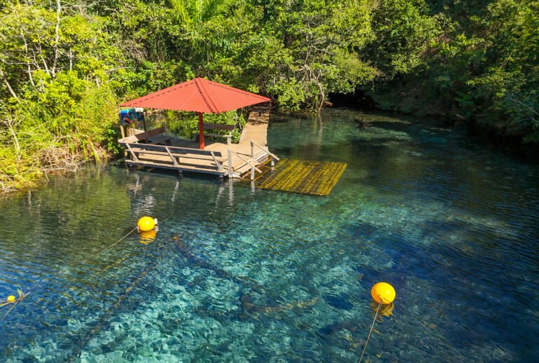 Bonito é seguro mesmo com tantos animais? 3 Bonito é seguro o ano inteiro, aproveite passeios como a flutuação em rio cristalino.