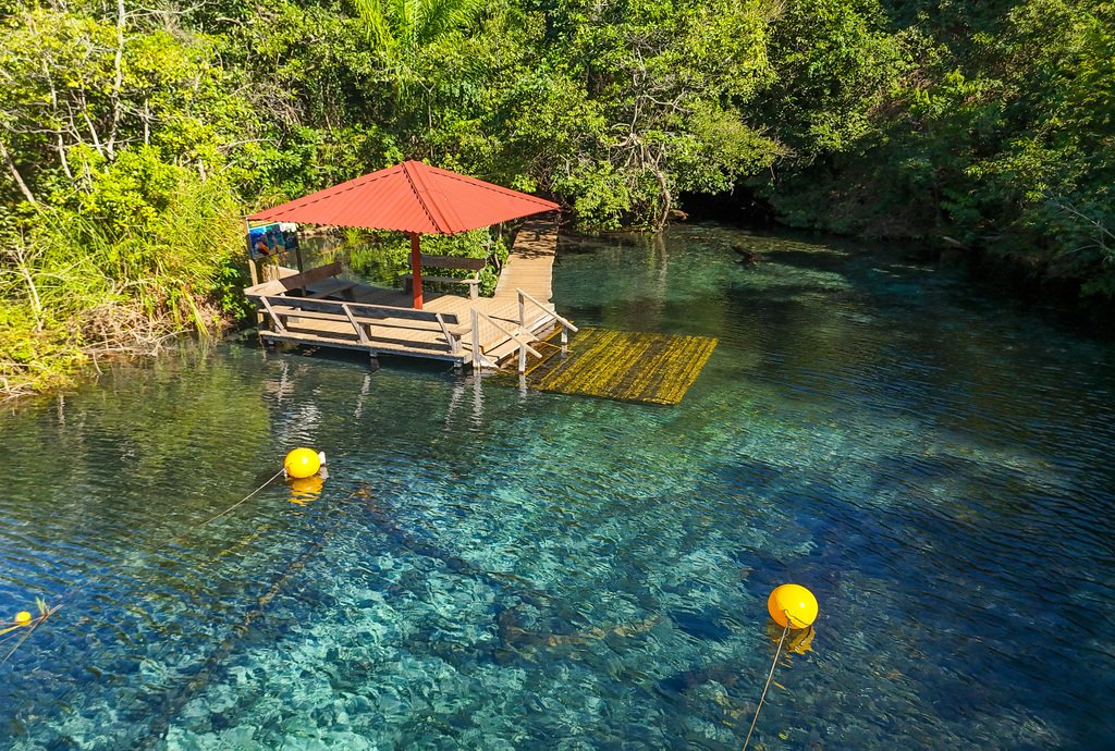Bonito é seguro o ano inteiro, aproveite passeios como a flutuação em rio cristalino.